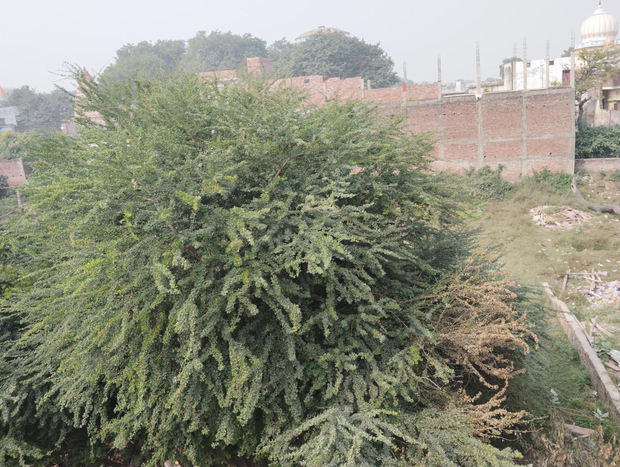 Shri Ram Lala Guest House Ayodhya Exterior photo
